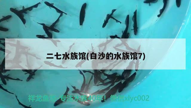 二七水族馆(白沙的水族馆7)