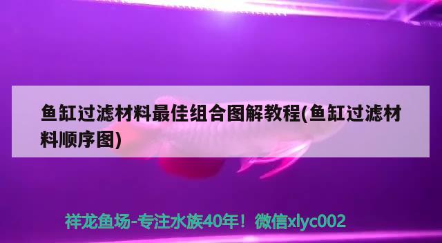 鱼缸过滤材料最佳组合图解教程(鱼缸过滤材料顺序图) 奈及利亚红圆点狗头