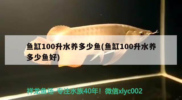 鱼缸100升水养多少鱼(鱼缸100升水养多少鱼好) 观赏鱼批发