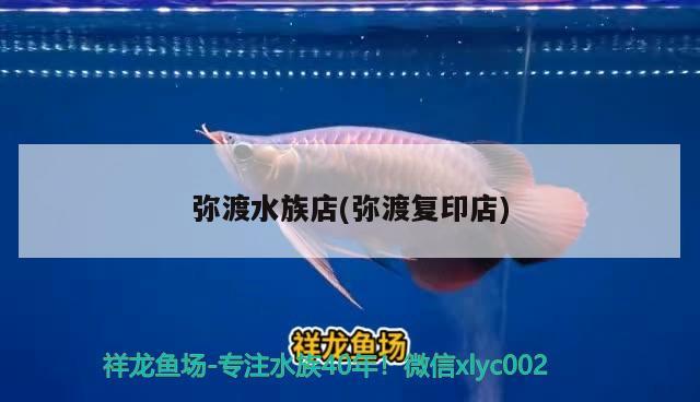 弥渡水族店(弥渡复印店) 印尼虎苗 第2张