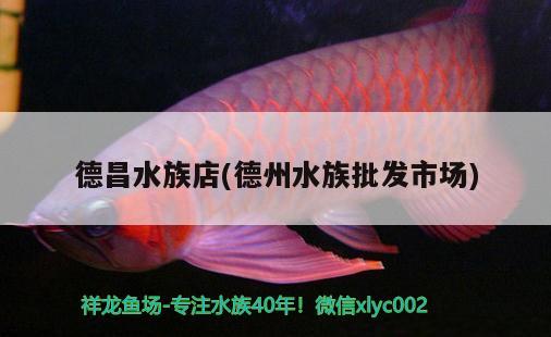 德昌水族店(德州水族批发市场)