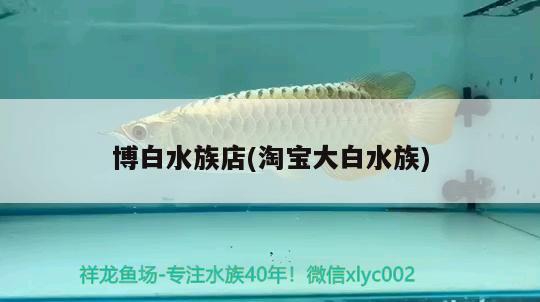 博白水族店(淘宝大白水族) 金龙福龙鱼