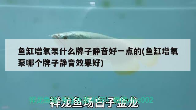 鱼缸增氧泵什么牌子静音好一点的(鱼缸增氧泵哪个牌子静音效果好)