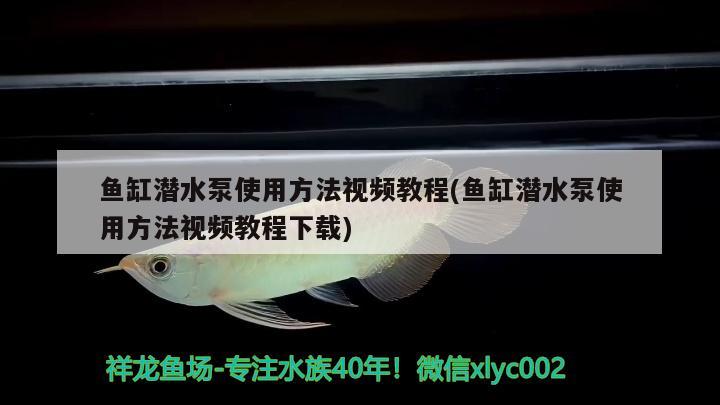 鱼缸潜水泵使用方法视频教程(鱼缸潜水泵使用方法视频教程下载) 祥龙传奇品牌鱼缸