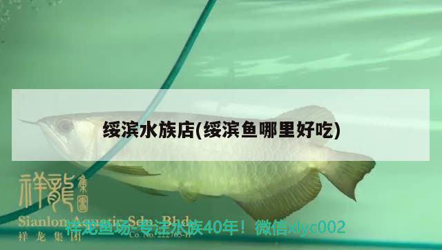 绥滨水族店(绥滨鱼哪里好吃)