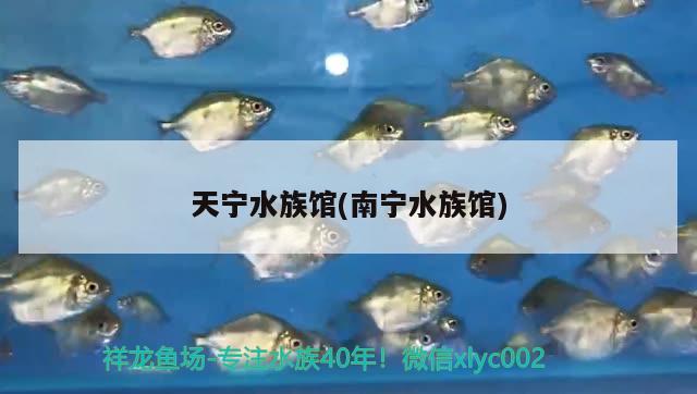 天宁水族馆(南宁水族馆)