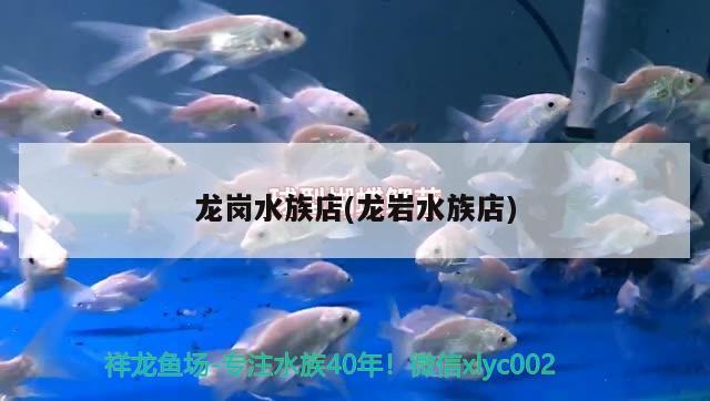 龙岗水族店(龙岩水族店) 撒旦鸭嘴鱼