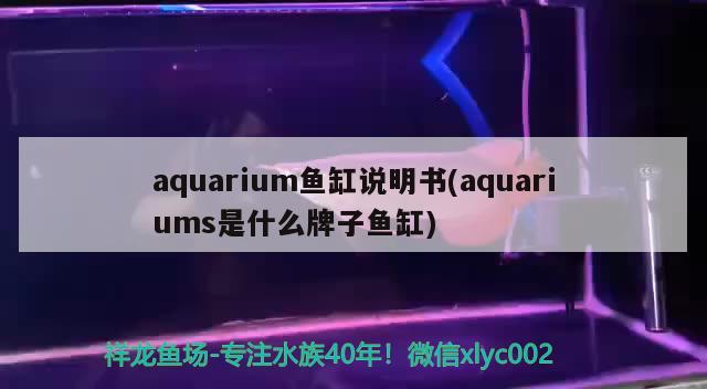 aquarium鱼缸说明书(aquariums是什么牌子鱼缸) 元宝鲫