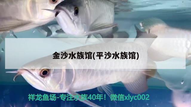 金沙水族馆(平沙水族馆)