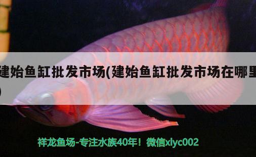 建始鱼缸批发市场(建始鱼缸批发市场在哪里) 广州水族批发市场