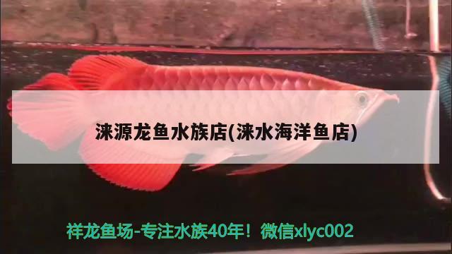 涞源龙鱼水族店(涞水海洋鱼店) 红勾银版鱼