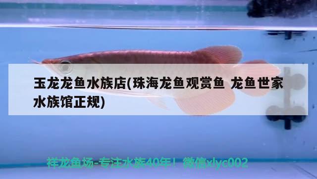 玉龙龙鱼水族店(珠海龙鱼观赏鱼龙鱼世家水族馆正规) PH调节剂