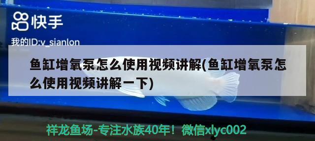 鱼缸增氧泵怎么使用视频讲解(鱼缸增氧泵怎么使用视频讲解一下) 飞凤鱼苗