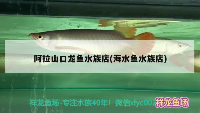 阿拉山口龙鱼水族店(海水鱼水族店)