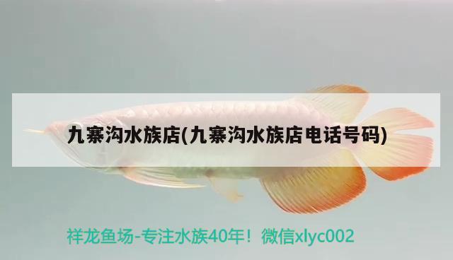 九寨沟水族店(九寨沟水族店电话号码) 星点金龙鱼 第1张