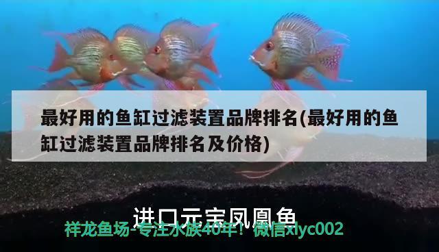 最好用的鱼缸过滤装置品牌排名(最好用的鱼缸过滤装置品牌排名及价格) 朱巴利鱼