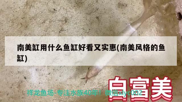 南美缸用什么鱼缸好看又实惠(南美风格的鱼缸) 水族品牌 第1张