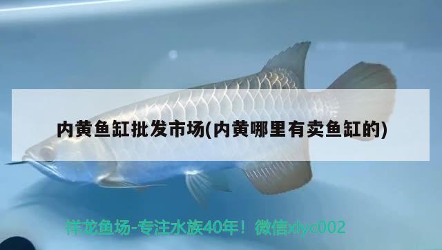 内黄鱼缸批发市场(内黄哪里有卖鱼缸的) 孵化器 第2张