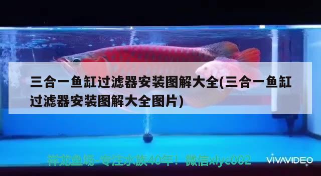 三合一鱼缸过滤器安装图解大全(三合一鱼缸过滤器安装图解大全图片)