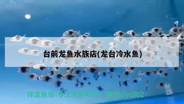 台前龙鱼水族店(龙台冷水鱼) 斑马鸭嘴鱼