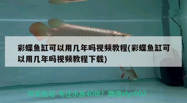 彩蝶鱼缸可以用几年吗视频教程(彩蝶鱼缸可以用几年吗视频教程下载)