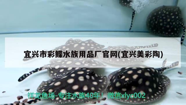 宜兴市彩鲽水族用品厂官网(宜兴美彩陶) 水族用品