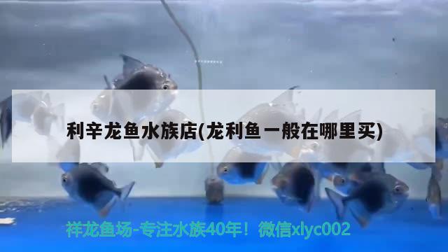 利辛龙鱼水族店(龙利鱼一般在哪里买) 森森鱼缸