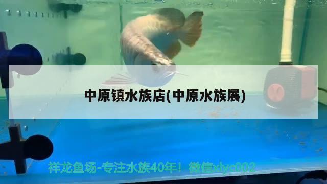 中原镇水族店(中原水族展) 水族展会