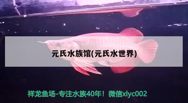 元氏水族馆(元氏水世界)