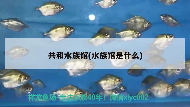 共和水族馆(水族馆是什么) 喷点菠萝鱼