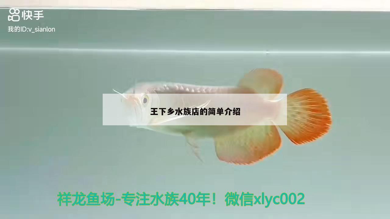 王下乡水族店的简单介绍