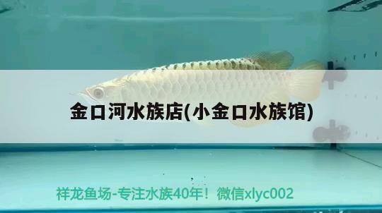 金口河水族店(小金口水族馆)