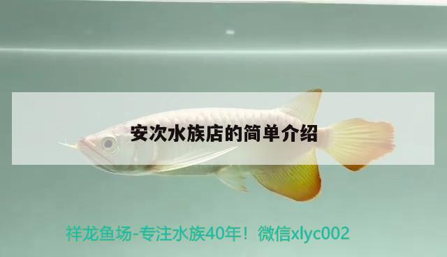 安次水族店的简单介绍 祥龙鱼场品牌产品