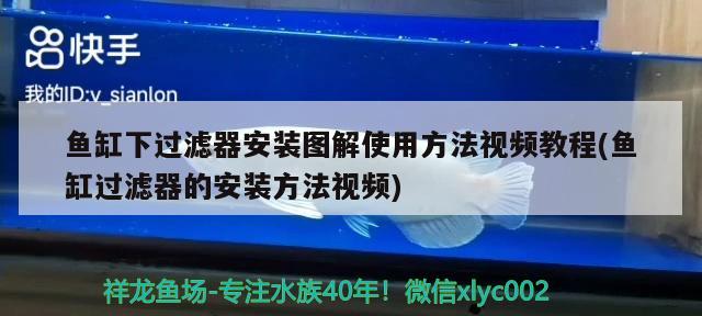 鱼缸下过滤器安装图解使用方法视频教程(鱼缸过滤器的安装方法视频) 印尼虎苗 第3张