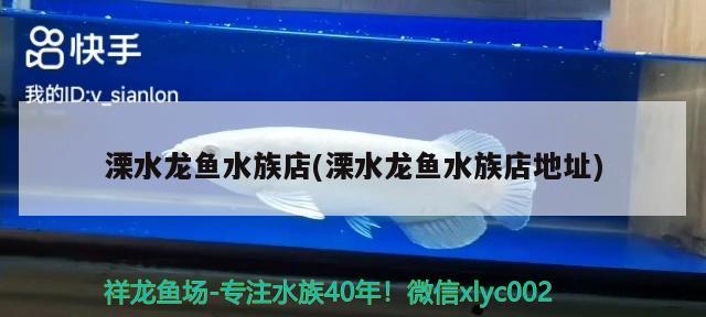 溧水龙鱼水族店(溧水龙鱼水族店地址) 蝴蝶鲤鱼苗