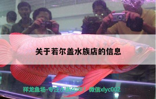 关于若尔盖水族店的信息 森森鱼缸