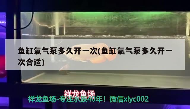 鱼缸氧气泵多久开一次(鱼缸氧气泵多久开一次合适) 萨伊蓝鱼