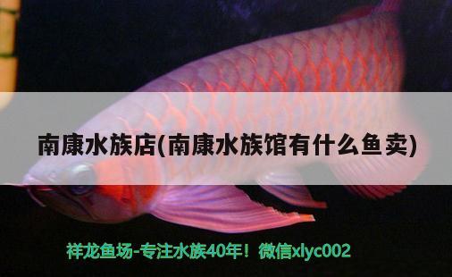 南康水族店(南康水族馆有什么鱼卖)