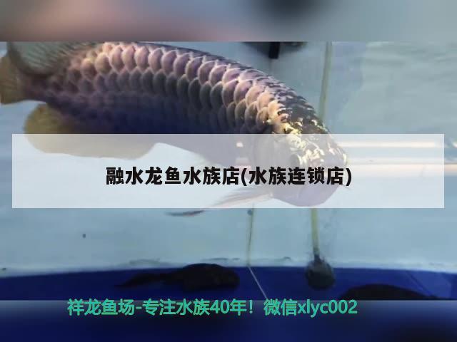 融水龙鱼水族店(水族连锁店) 新加坡号半红龙鱼（练手级红龙鱼）