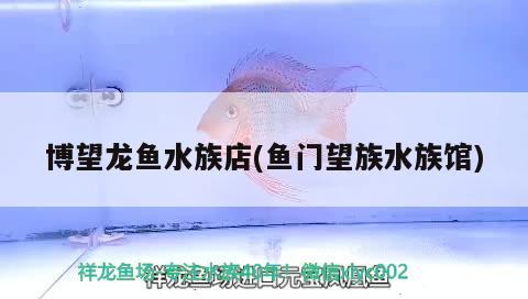 博望龙鱼水族店(鱼门望族水族馆) 水草