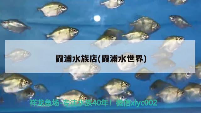 霞浦水族店(霞浦水世界)