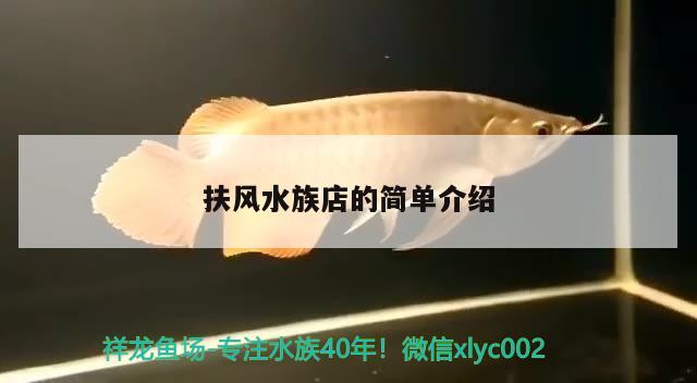 扶风水族店的简单介绍 鱼缸风水 第1张