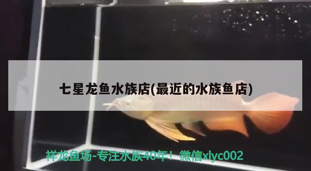 七星龙鱼水族店(最近的水族鱼店)