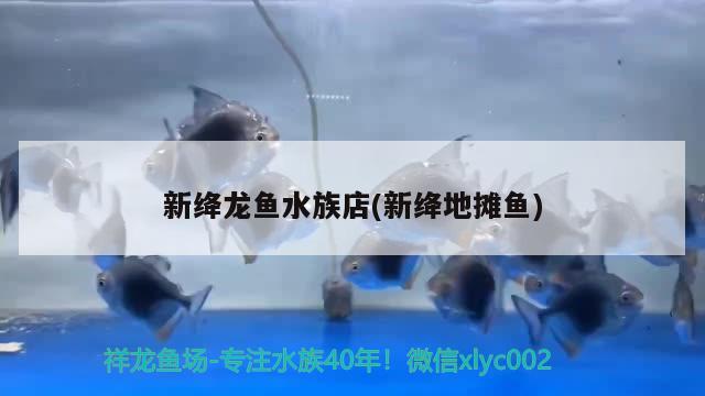 新绛龙鱼水族店(新绛地摊鱼)