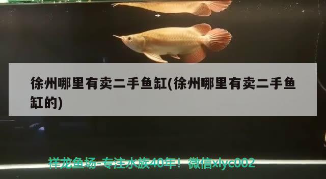 徐州哪里有卖二手鱼缸(徐州哪里有卖二手鱼缸的)