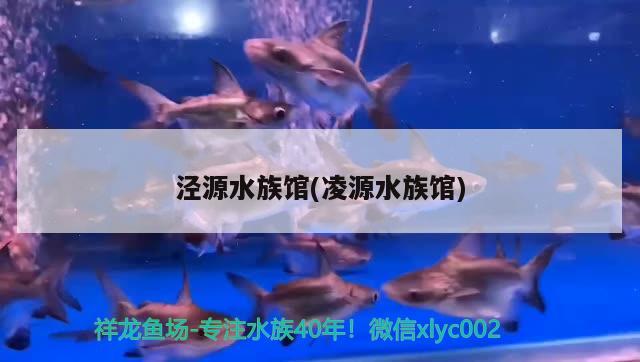 泾源水族馆(凌源水族馆)