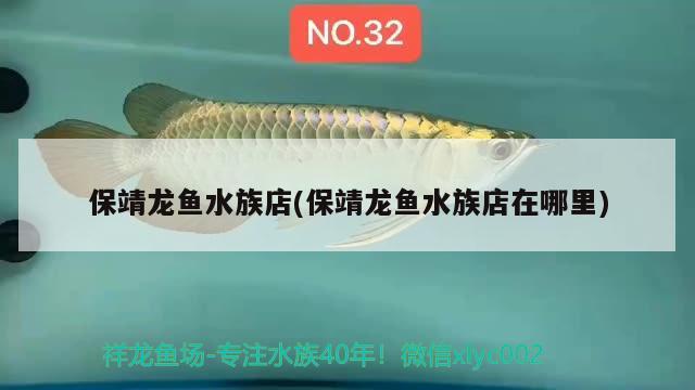 保靖龙鱼水族店(保靖龙鱼水族店在哪里) 广州龙鱼批发市场