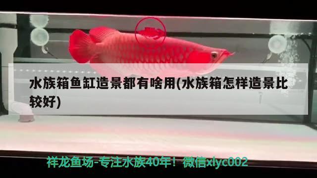 水族箱鱼缸造景都有啥用(水族箱怎样造景比较好) 鱼缸/水族箱