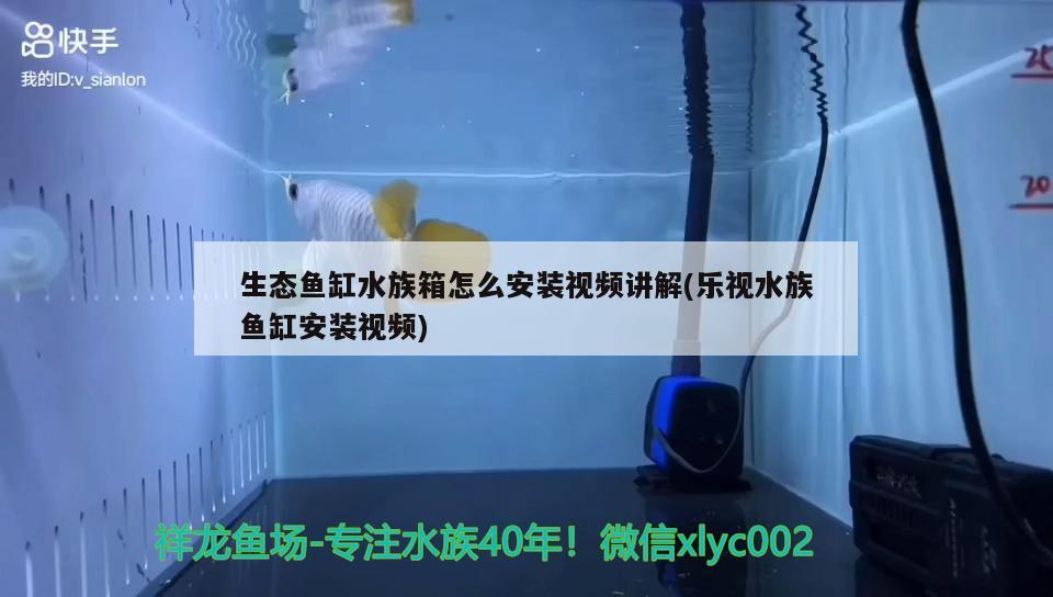 生态鱼缸水族箱怎么安装视频讲解(乐视水族鱼缸安装视频)