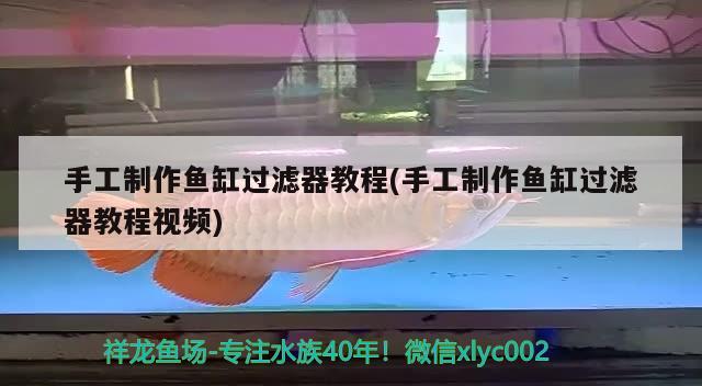 手工制作鱼缸过滤器教程(手工制作鱼缸过滤器教程视频) 蓝帆三间鱼